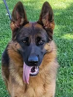 processed/23109f5e-4a29-4840-b58f-4614b37501f1/facility/bbdde91e-cfaa-485b-9d3a-b5b1ba8e7fc8