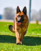 processed/23109f5e-4a29-4840-b58f-4614b37501f1/facility/bc59d7b5-f2e5-4a28-bae6-ec3cae8ffcda