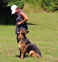 processed/23109f5e-4a29-4840-b58f-4614b37501f1/facility/f16a6693-8c40-4cd9-8d18-cba3f57e556c