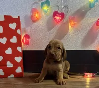 processed/23278dc7-a46a-4530-9b73-d8d035011de6/listing/9a2cba06-6b73-40e2-a2c0-086cc10e5f61/2a663fc7-7a9d-4d06-974b-7c6476dcc016