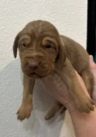 processed/23278dc7-a46a-4530-9b73-d8d035011de6/listing/9a2cba06-6b73-40e2-a2c0-086cc10e5f61/e66ee3de-ea9f-4fa1-b79a-c678445cbbcc