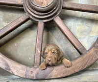 processed/23278dc7-a46a-4530-9b73-d8d035011de6/listing/9a2cba06-6b73-40e2-a2c0-086cc10e5f61/fc375ee0-ede8-4cef-9459-eaca848fe811