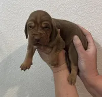 processed/23278dc7-a46a-4530-9b73-d8d035011de6/listing/9b3e6db0-5bf7-4af5-97ac-354ad7854efc/ba433b04-99d3-49f1-96da-961581614a20