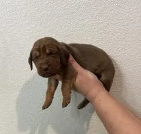 processed/23278dc7-a46a-4530-9b73-d8d035011de6/listing/aa522c41-b57f-490e-b84f-3a6986a12450/12f33008-882d-4e38-8665-04289ae0c3e7