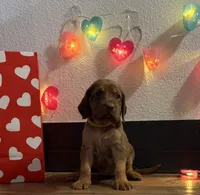 processed/23278dc7-a46a-4530-9b73-d8d035011de6/listing/aa522c41-b57f-490e-b84f-3a6986a12450/e7eda122-05d1-4839-acb1-d0e1065095ea