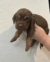 processed/23278dc7-a46a-4530-9b73-d8d035011de6/listing/f019da9f-56a9-4aca-baf7-df383529506a/d6dd9c21-7f13-43a7-9e75-3c6d1589c01c