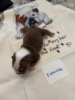 processed/2328500b-355c-4e65-835f-9bc271dbef83/listing/377bc5c6-f57b-496d-ad33-74571e535c69/0854e2a4-df2e-4973-850f-eb14777935fc