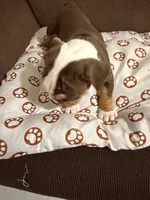 processed/2328500b-355c-4e65-835f-9bc271dbef83/listing/377bc5c6-f57b-496d-ad33-74571e535c69/1767d513-cf88-4434-a6bc-c58c45285371