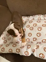 processed/2328500b-355c-4e65-835f-9bc271dbef83/listing/377bc5c6-f57b-496d-ad33-74571e535c69/484460a6-a529-4d48-9ab4-23f67ec572be