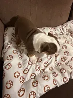 processed/2328500b-355c-4e65-835f-9bc271dbef83/listing/377bc5c6-f57b-496d-ad33-74571e535c69/634e3260-0cfa-48c6-8248-a7ff6c8c76e7