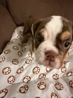 processed/2328500b-355c-4e65-835f-9bc271dbef83/listing/377bc5c6-f57b-496d-ad33-74571e535c69/712810c7-f67d-4b4a-8af1-dccee8e4a156