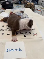 processed/2328500b-355c-4e65-835f-9bc271dbef83/listing/377bc5c6-f57b-496d-ad33-74571e535c69/9082e6d1-dcfd-45e0-a5c0-013c5bc0babb