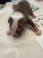 processed/2328500b-355c-4e65-835f-9bc271dbef83/listing/377bc5c6-f57b-496d-ad33-74571e535c69/b0131da6-9a75-4ffb-8971-de2affcafdf1