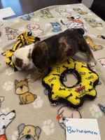 processed/2328500b-355c-4e65-835f-9bc271dbef83/listing/6514d77f-c39f-4bc4-9906-7da1cc154cd6/24981567-5506-43c1-b4de-695bc412fd5c