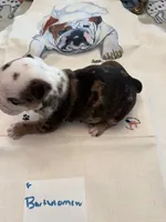 processed/2328500b-355c-4e65-835f-9bc271dbef83/listing/6514d77f-c39f-4bc4-9906-7da1cc154cd6/3a494f6b-0b3c-43eb-8639-90a3173c79db