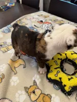 processed/2328500b-355c-4e65-835f-9bc271dbef83/listing/6514d77f-c39f-4bc4-9906-7da1cc154cd6/564f5e56-b8e1-491a-8bd2-b9ba4fbdc4e0