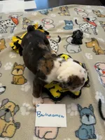 processed/2328500b-355c-4e65-835f-9bc271dbef83/listing/6514d77f-c39f-4bc4-9906-7da1cc154cd6/b2f2f098-117d-418a-9466-c463d86a9ba6