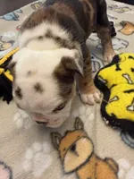 processed/2328500b-355c-4e65-835f-9bc271dbef83/listing/6514d77f-c39f-4bc4-9906-7da1cc154cd6/bb5e6e21-13e9-42fb-89a2-574900d6463d