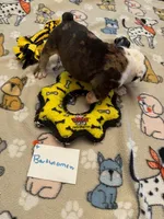 processed/2328500b-355c-4e65-835f-9bc271dbef83/listing/6514d77f-c39f-4bc4-9906-7da1cc154cd6/c39e18ca-3c8f-4ac9-9ece-2fb4964b6178