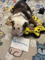 processed/2328500b-355c-4e65-835f-9bc271dbef83/listing/6514d77f-c39f-4bc4-9906-7da1cc154cd6/c922942c-23e2-4bde-8487-30f18bdbbbf1