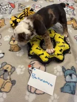 processed/2328500b-355c-4e65-835f-9bc271dbef83/listing/6514d77f-c39f-4bc4-9906-7da1cc154cd6/e7bbf287-52d1-48e9-8f31-c5a2f09bf5e9