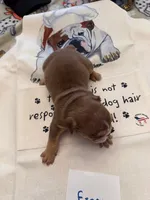 processed/2328500b-355c-4e65-835f-9bc271dbef83/listing/b777f57a-7953-4be3-95a0-4509f67159d6/2e528094-fc85-4cbd-abd5-bb2e43516e5f