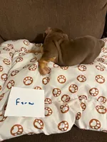 processed/2328500b-355c-4e65-835f-9bc271dbef83/listing/b777f57a-7953-4be3-95a0-4509f67159d6/42973c3c-9ad5-476d-be66-6fb29efae230