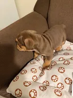 processed/2328500b-355c-4e65-835f-9bc271dbef83/listing/b777f57a-7953-4be3-95a0-4509f67159d6/5c0d3636-d363-48d9-86aa-905d5f33751f