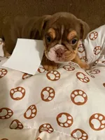 processed/2328500b-355c-4e65-835f-9bc271dbef83/listing/b777f57a-7953-4be3-95a0-4509f67159d6/6f165b94-1aec-45a2-97b0-13d85721c2a4