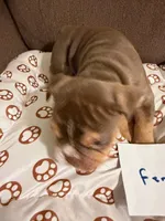 processed/2328500b-355c-4e65-835f-9bc271dbef83/listing/b777f57a-7953-4be3-95a0-4509f67159d6/bab79ef8-8e44-4135-820a-a0261a5c4c13