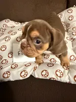 processed/2328500b-355c-4e65-835f-9bc271dbef83/listing/b777f57a-7953-4be3-95a0-4509f67159d6/d93b2f24-445a-4c66-82d3-6765680cc15f