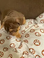 processed/2328500b-355c-4e65-835f-9bc271dbef83/listing/b777f57a-7953-4be3-95a0-4509f67159d6/f52339c9-f886-4c31-a52d-3899b98b1b62