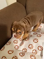 processed/2328500b-355c-4e65-835f-9bc271dbef83/listing/b777f57a-7953-4be3-95a0-4509f67159d6/f5f72647-d63b-46ba-9ddd-58feba3ee0d1