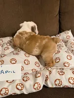 processed/2328500b-355c-4e65-835f-9bc271dbef83/listing/dab409e8-a2dd-4e69-aebc-59a97f98bb4c/41532f26-535d-4323-b042-4dc37b94b2f6