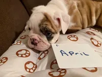 processed/2328500b-355c-4e65-835f-9bc271dbef83/listing/dab409e8-a2dd-4e69-aebc-59a97f98bb4c/644fd006-dd76-421f-a750-4d426fbad0b6