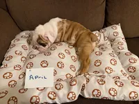 processed/2328500b-355c-4e65-835f-9bc271dbef83/listing/dab409e8-a2dd-4e69-aebc-59a97f98bb4c/aa086df7-c198-4026-8ff5-da9c8facb6fc