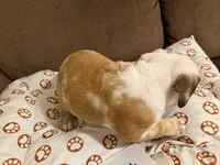 processed/2328500b-355c-4e65-835f-9bc271dbef83/listing/dab409e8-a2dd-4e69-aebc-59a97f98bb4c/b142a5a0-2819-45c2-af82-caa55c8d4827