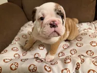 processed/2328500b-355c-4e65-835f-9bc271dbef83/listing/dab409e8-a2dd-4e69-aebc-59a97f98bb4c/bdd43951-8606-438f-bccd-9558b4e293ed