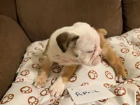 processed/2328500b-355c-4e65-835f-9bc271dbef83/listing/dab409e8-a2dd-4e69-aebc-59a97f98bb4c/e2f55c60-ca55-4b15-a412-d05564462b50