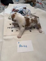 processed/2328500b-355c-4e65-835f-9bc271dbef83/listing/dab409e8-a2dd-4e69-aebc-59a97f98bb4c/f045791d-3e95-403e-9770-06d395776c4d