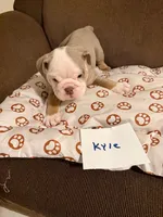 processed/2328500b-355c-4e65-835f-9bc271dbef83/listing/e4388ba4-d2d3-43aa-968e-38c254d76172/1d4dbdfc-7463-47a4-a4fb-b9bf72b04e29