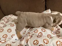 processed/2328500b-355c-4e65-835f-9bc271dbef83/listing/e4388ba4-d2d3-43aa-968e-38c254d76172/2e755fba-fc16-464e-a76e-82c7dd1ed174