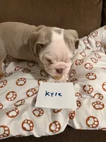 processed/2328500b-355c-4e65-835f-9bc271dbef83/listing/e4388ba4-d2d3-43aa-968e-38c254d76172/49205982-df9f-4923-a8b8-e2e9befa254f