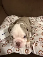 processed/2328500b-355c-4e65-835f-9bc271dbef83/listing/e4388ba4-d2d3-43aa-968e-38c254d76172/595632c5-ffbf-427e-b8ff-c689a4f9d8c0