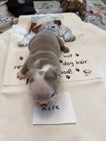 processed/2328500b-355c-4e65-835f-9bc271dbef83/listing/e4388ba4-d2d3-43aa-968e-38c254d76172/5d7c97b4-032f-43cb-9045-13a92284a4e3