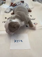 processed/2328500b-355c-4e65-835f-9bc271dbef83/listing/e4388ba4-d2d3-43aa-968e-38c254d76172/8fb274d8-44fa-43ce-872f-231f6c056982