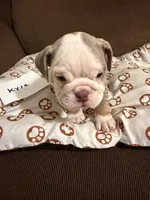 processed/2328500b-355c-4e65-835f-9bc271dbef83/listing/e4388ba4-d2d3-43aa-968e-38c254d76172/bb443272-9e4d-4884-bd9d-69941363d3b4