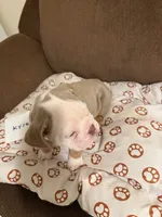 processed/2328500b-355c-4e65-835f-9bc271dbef83/listing/e4388ba4-d2d3-43aa-968e-38c254d76172/c3458a83-cfe5-4ee4-9a11-e1ed3cd207d0