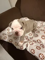 processed/2328500b-355c-4e65-835f-9bc271dbef83/listing/e4388ba4-d2d3-43aa-968e-38c254d76172/e1ef3467-b92b-4b03-8c79-0316b6e4608c