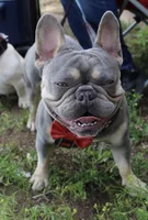 processed/23349d87-7713-481b-a4e1-7964184f49fa/facility/2a490663-5e2a-437d-9e27-20765f703e7f